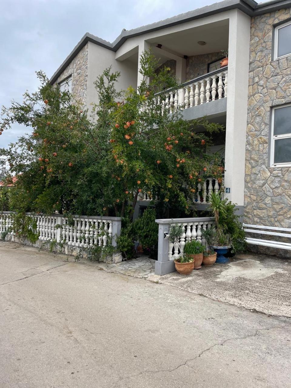 Apartman Suzana Sindija Bibinje Exterior photo