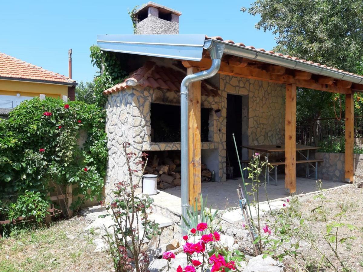 Apartman Suzana Sindija Bibinje Exterior photo